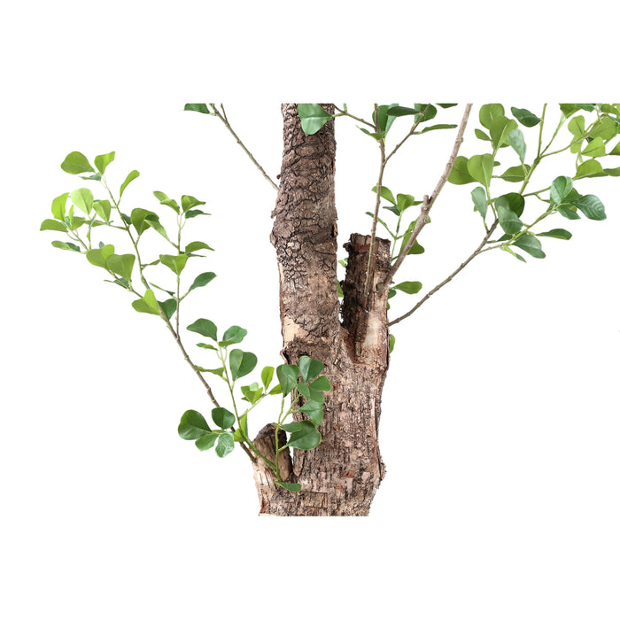 PTMD - Kunstplant Tree - Groen - 80x80x180cm