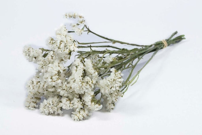 554b6c21-2b06-4d3c-80fd-6456c197c709-afbeelding4.jpg (1142246) 