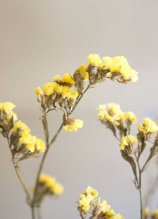 554b6c21-2b06-4d3c-80fd-6456c197c709-afbeelding5.jpg (1142249) 