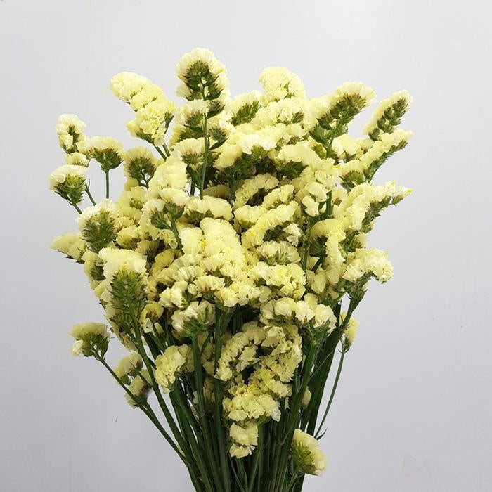 554b6c21-2b06-4d3c-80fd-6456c197c709-afbeelding6.jpg (1142251) 