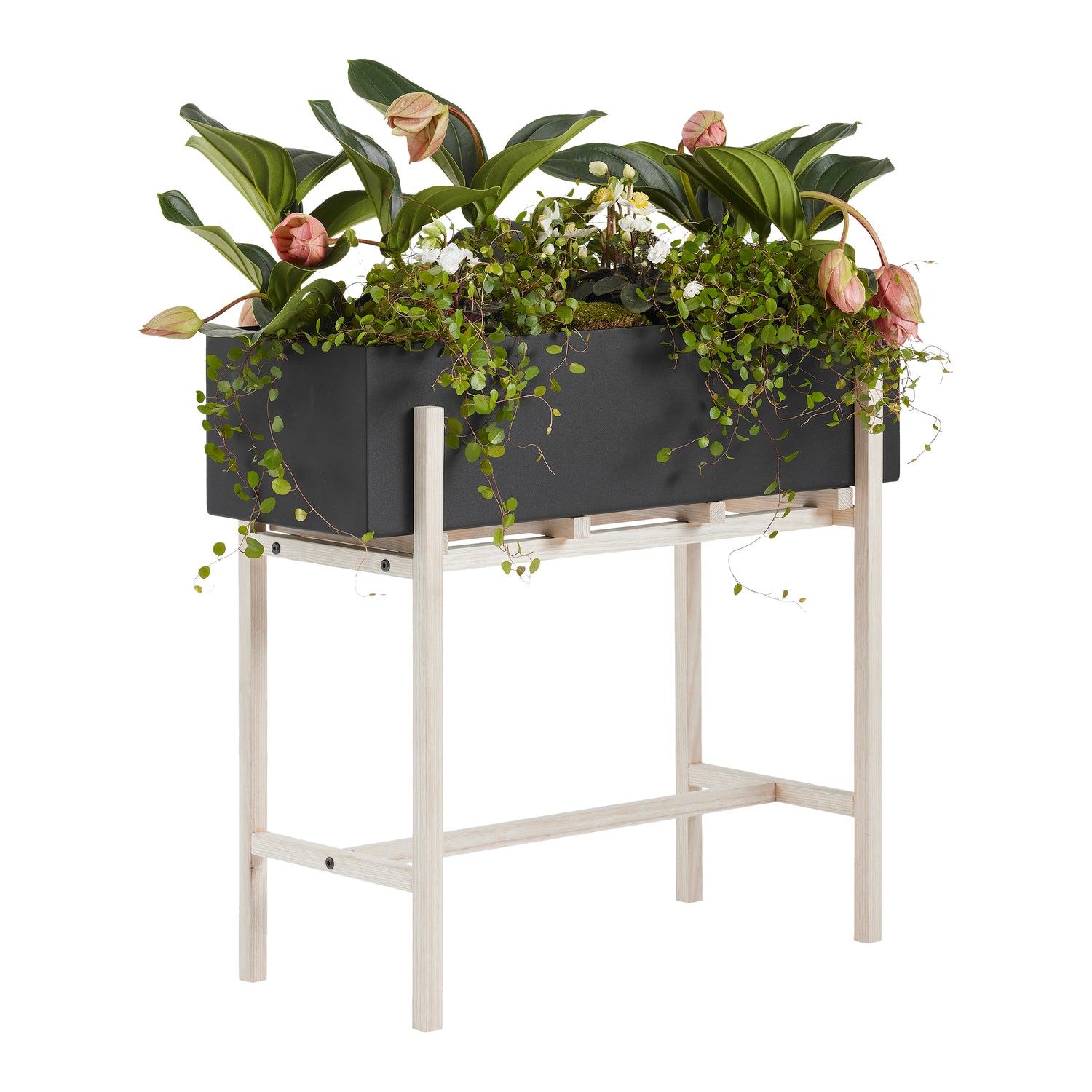 291013-x0.jpg (1144038) 