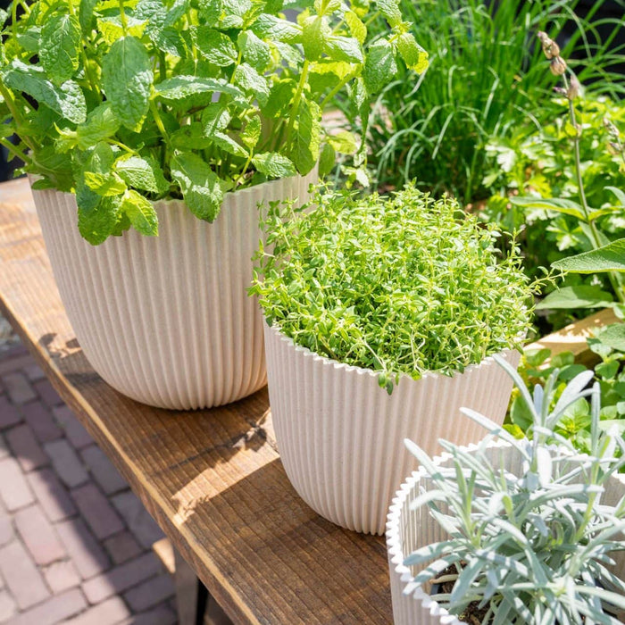 Capi Europe - Pot bol Groove 'made with'  - 28x27 - Kunstgras groen