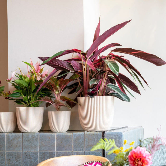 Capi Europe - Pot bol Groove 'made with'  - 28x27 - Kunstgras groen