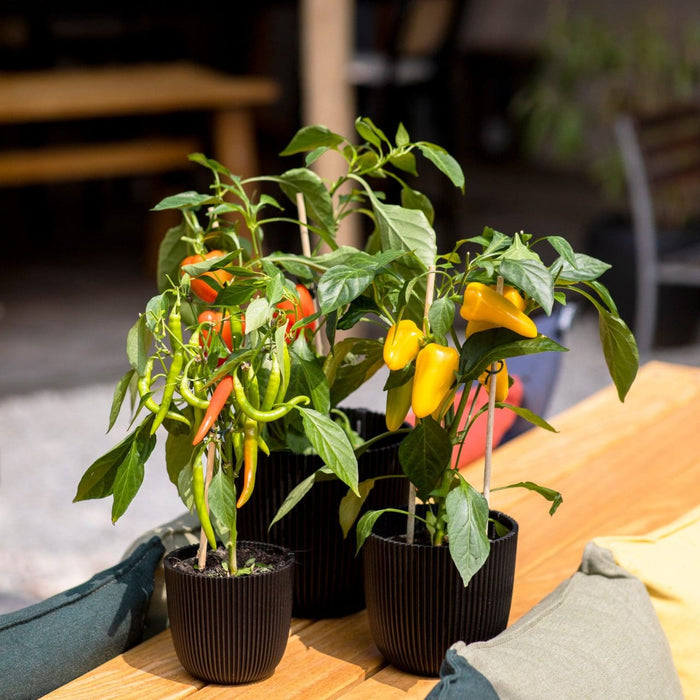 Capi Europe - Pot bol Groove 'made with'  - 28x27 - Textiel zwart