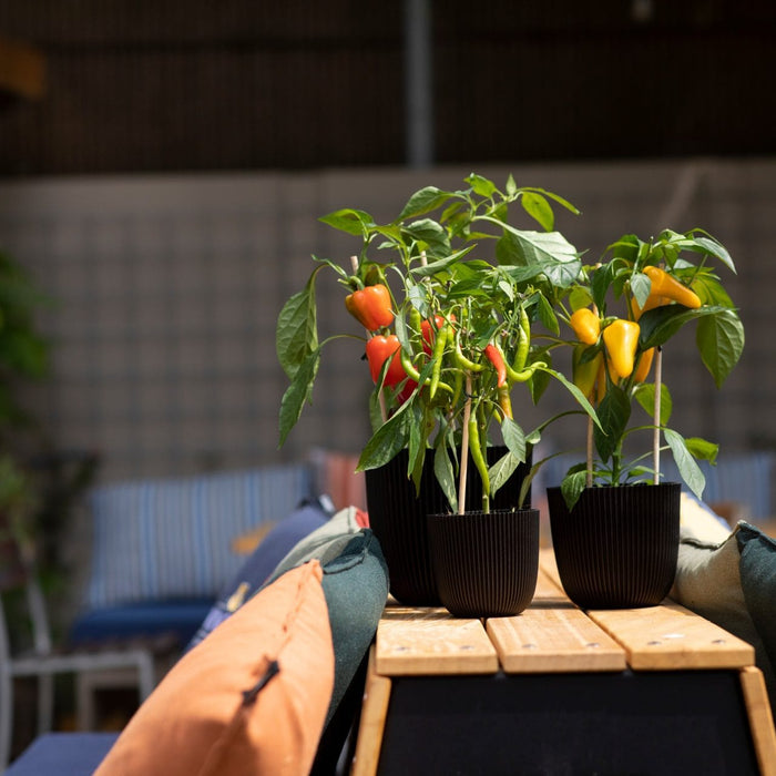 Capi Europe - Pot bol Groove 'made with'  - 28x27 - Textiel zwart