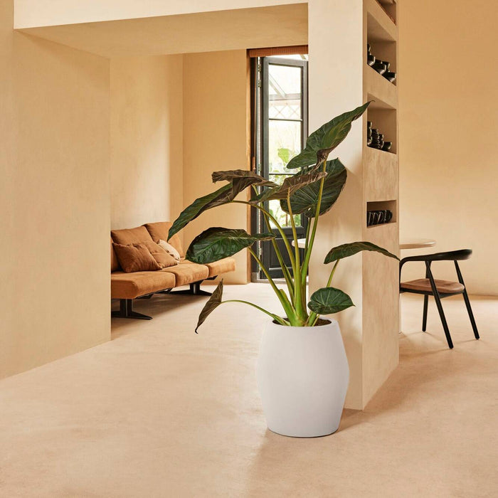 Elho June Split High 46 - Linnen wit - Ø 46 x H 53 cm - Binnen en Buiten - 100% gerecycled kunststof