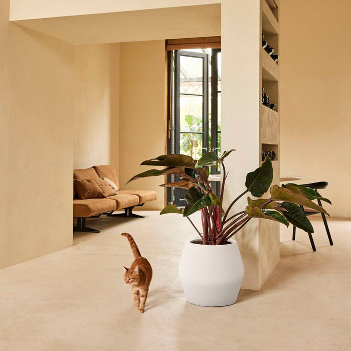 Elho June Split Low 46 - Linnen wit - Ø 46 x H 42 cm - Binnen en Buiten - 100% gerecycled