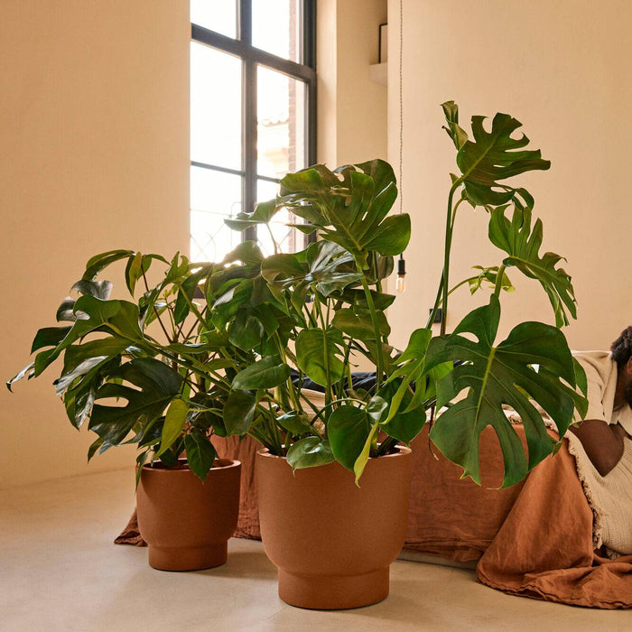 Elho Amber Grail 47 - Karamel - Ø 47 x H 45 cm - Binnen en Buiten - 100% gerecycled