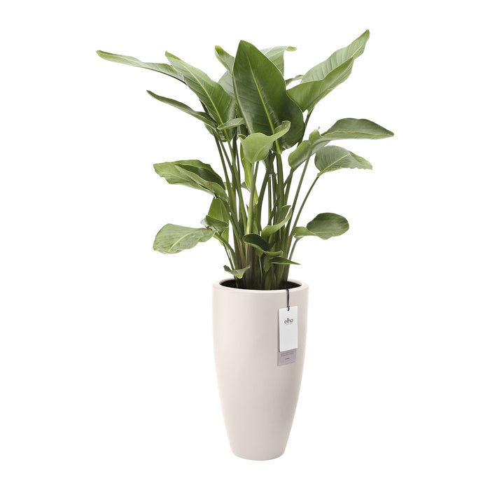 Elho June Round High 40 - Linnen wit -  Ø 39 x H 70 cm - Binnen en Buiten - 100% gerecycled