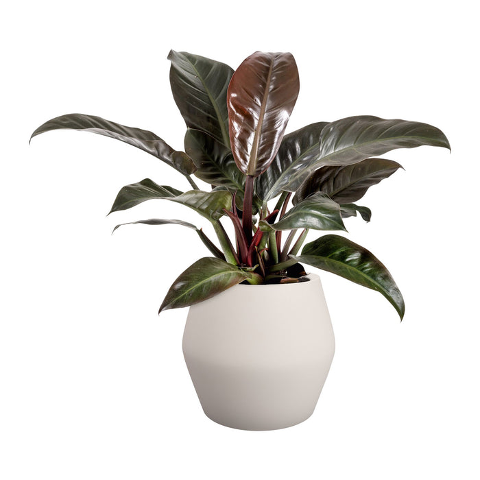 Elho June Split Low 46 - Linnen wit - Ø 46 x H 42 cm - Binnen en Buiten - 100% gerecycled