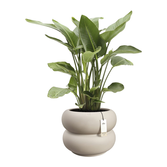 Elho Amber Roll Low 60 - Balanced beige - Ø 60 x H 46 cm - Binnen en Buiten - 100% gerecycled kunststof