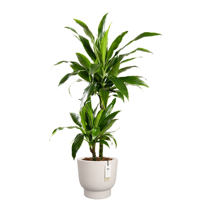 Elho Amber Grail 47 - Linnen wit - Ø 47 x H 45 cm - Binnen en Buiten - 100% gerecycled