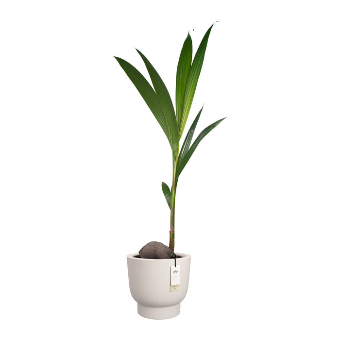 Elho Amber Grail 47 - Linnen wit - Ø 47 x H 45 cm - Binnen en Buiten - 100% gerecycled