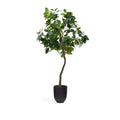 Kave Home Ficus Kunstboom - H 210 cm