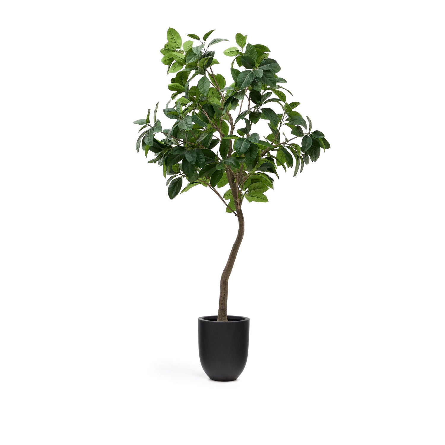Kave Home Ficus Kunstboom - H 210 cm