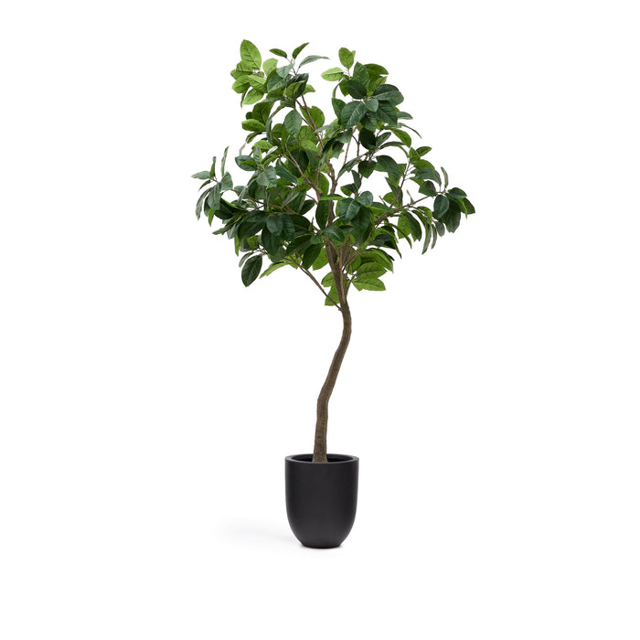Kave Home Ficus Kunstboom - H 210 cm
