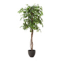 Kave Home Ficus Kunstboom - H 180 cm