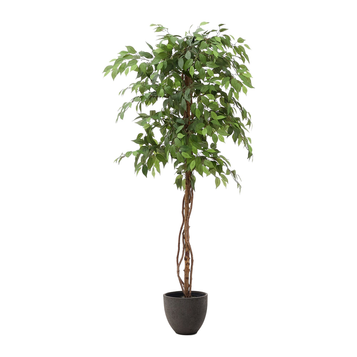 Kave Home Ficus Kunstboom - H 180 cm