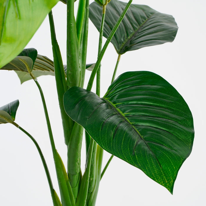 Mica Decorations Philodendron in pot groen - h100xd70cm