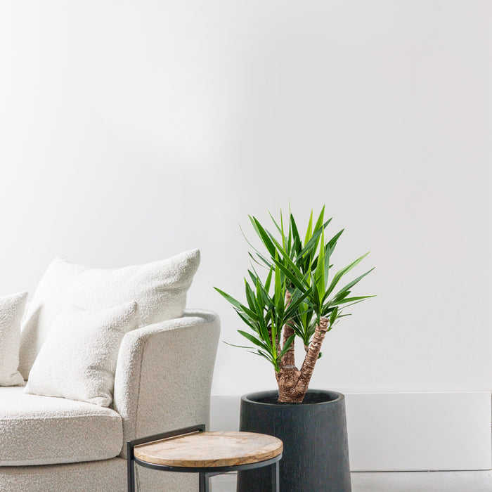 c7186991-2ab4-4306-a815-cd5970a2de17-afbeelding3.jpg (1149463) 