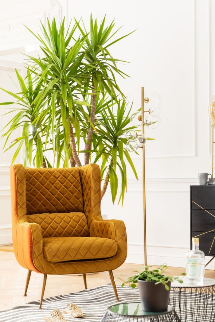 29c868de-29db-4c31-9ab9-0bd0a1f69acd-sfeerbeeld.jpg (1153415) 