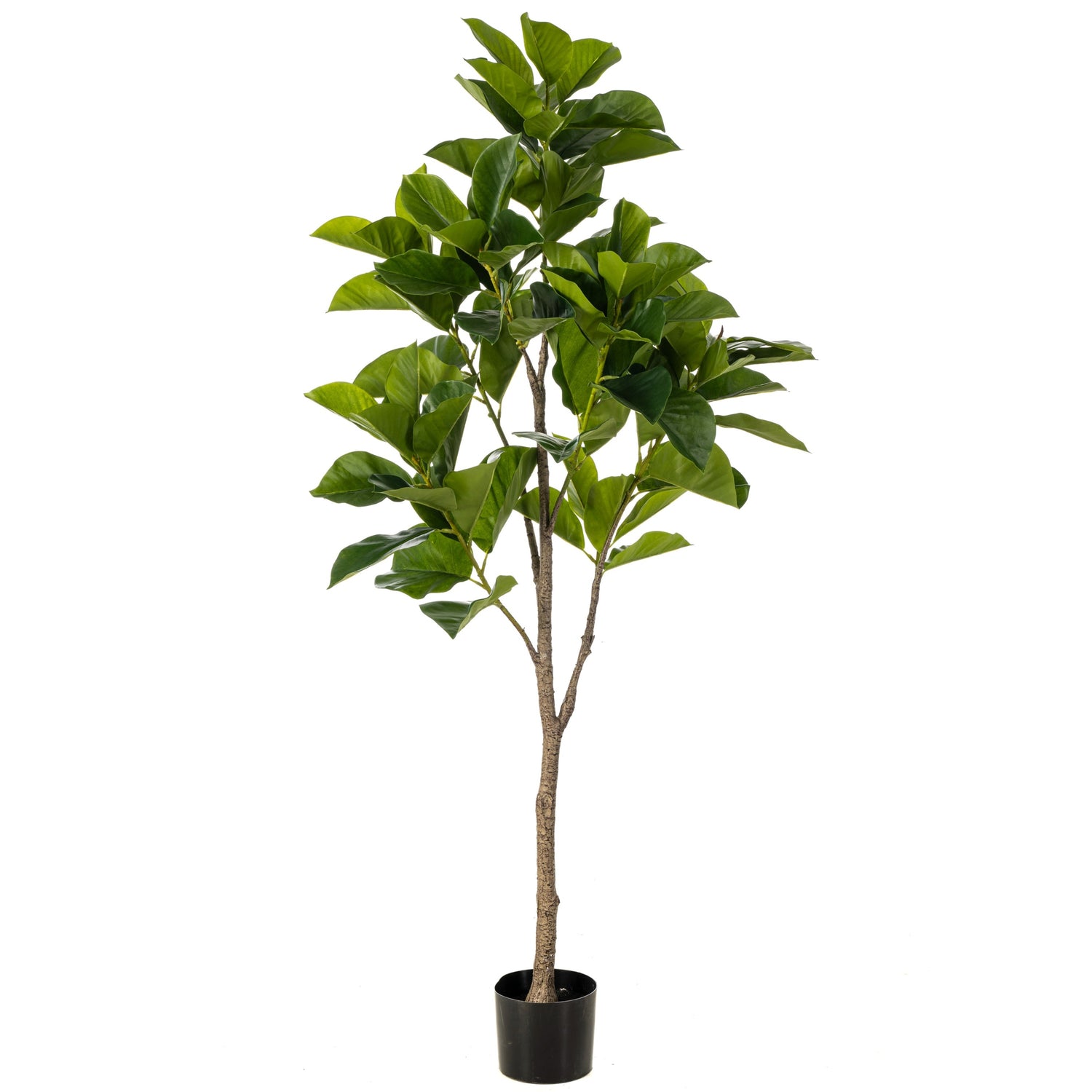 Fleurdirect Kunstplant Ficus Benghalensis - Groen - Kunststof