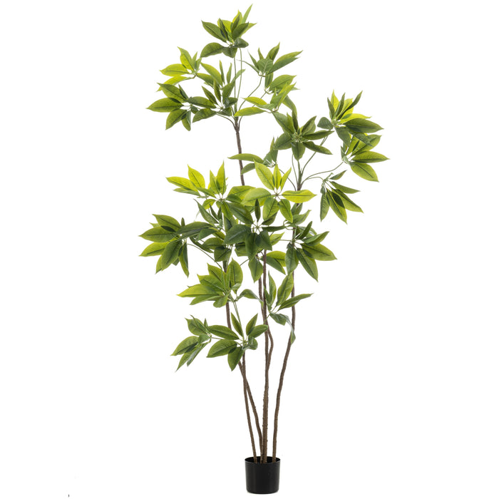 Fleurdirect Kunstplant Schefflera - Groen - Kunststof