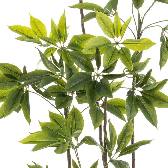 Fleurdirect Kunstplant Schefflera - Groen - Kunststof