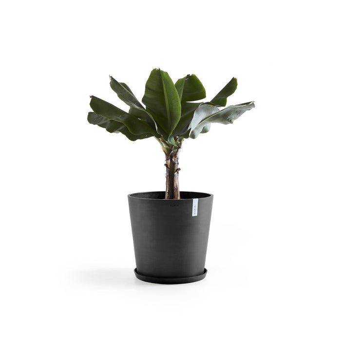 Ecopots Amsterdam Bloempot Met Waterreserve Ø 50 cm - Donkergrijs