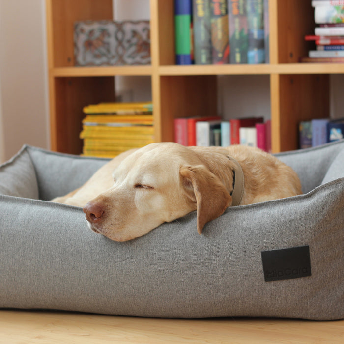 200065-x1.jpg (1177559) 