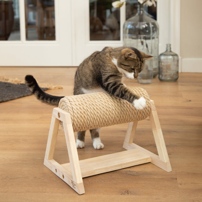 292068-x1.jpg (1192378) 