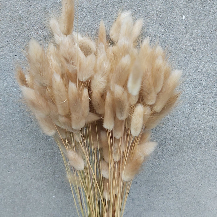 0af8cf43-4edc-4f7c-a97b-3a8e86c7d05b-afbeelding4.jpg (1204665) 