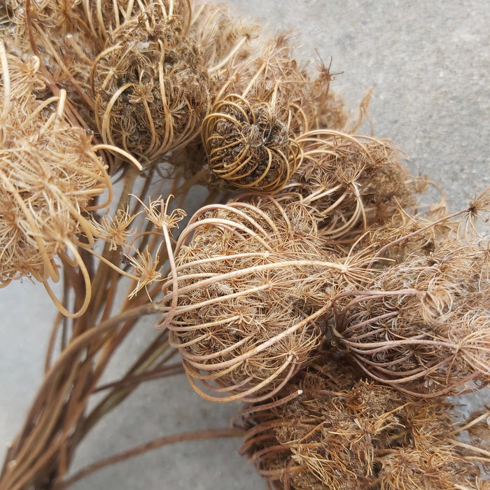 808d5cb1-c319-481f-9ecf-1c506628979a-afbeelding3.jpg (1225644) 