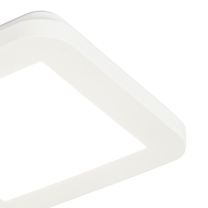 5fe20f74-b66d-4702-a940-7f932c17ef52-afbeelding4.jpg (1225682) 