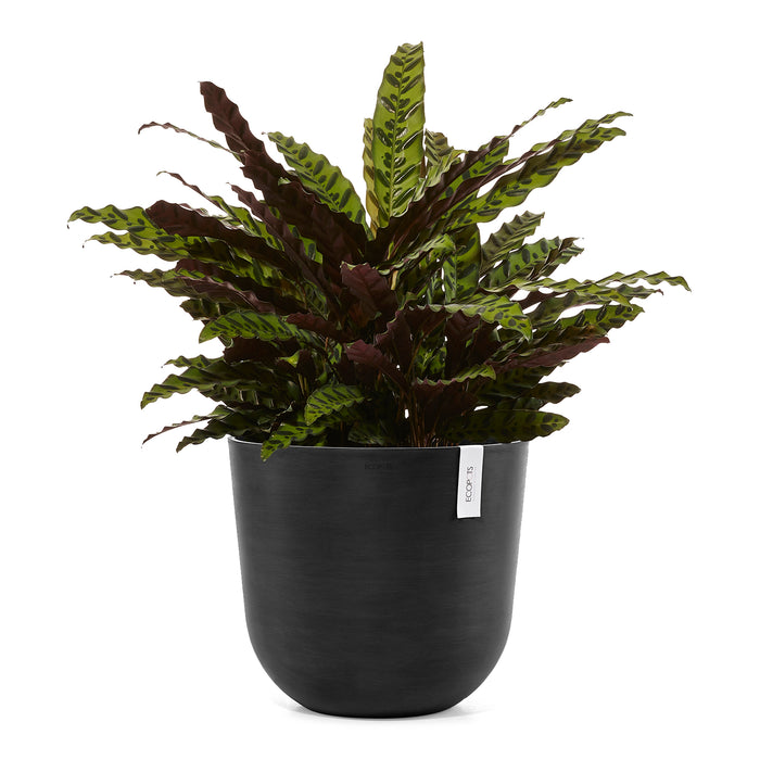 Ecopots Oslo Bloempot Ø 45 cm - Donkergrijs