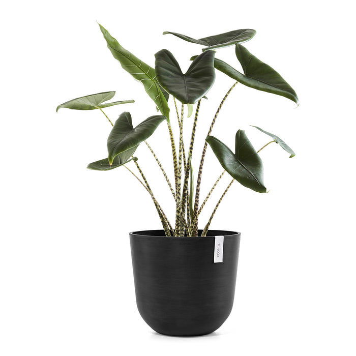 Ecopots Oslo Bloempot Ø 45 cm - Donkergrijs