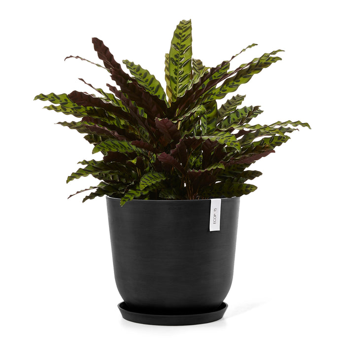 Ecopots Oslo Bloempot Ø 45 cm - Donkergrijs