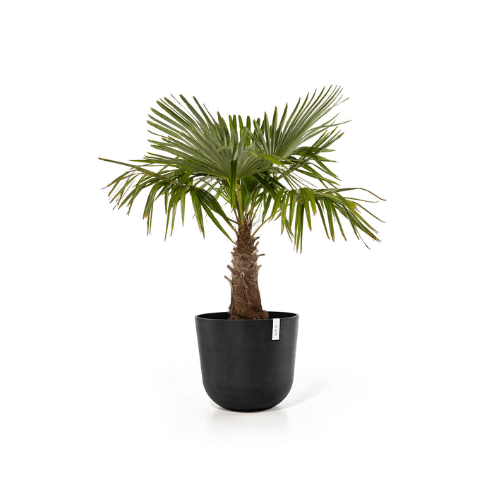 Ecopots Oslo Bloempot Ø 55 cm - Donkergrijs