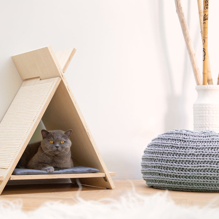 249091-x1.jpg (1271314) 