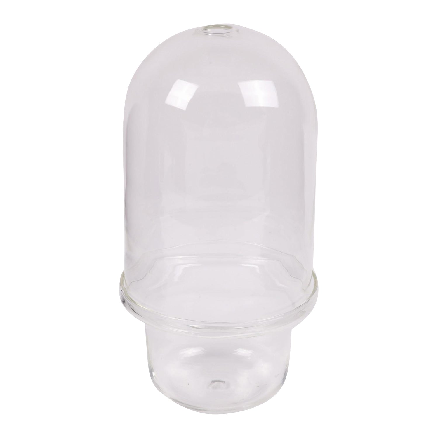 Serax Carnivore Vaas L