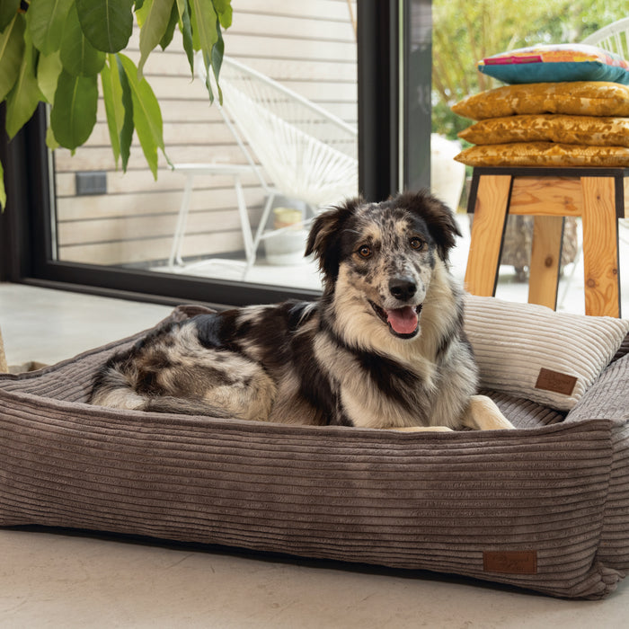 308169-x01.jpg (1293990) 