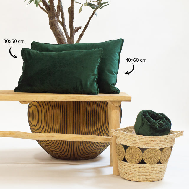 5524ddcd-e974-4b52-8ef3-5cb9b977b1ba-afbeelding4.jpg (1295354) 