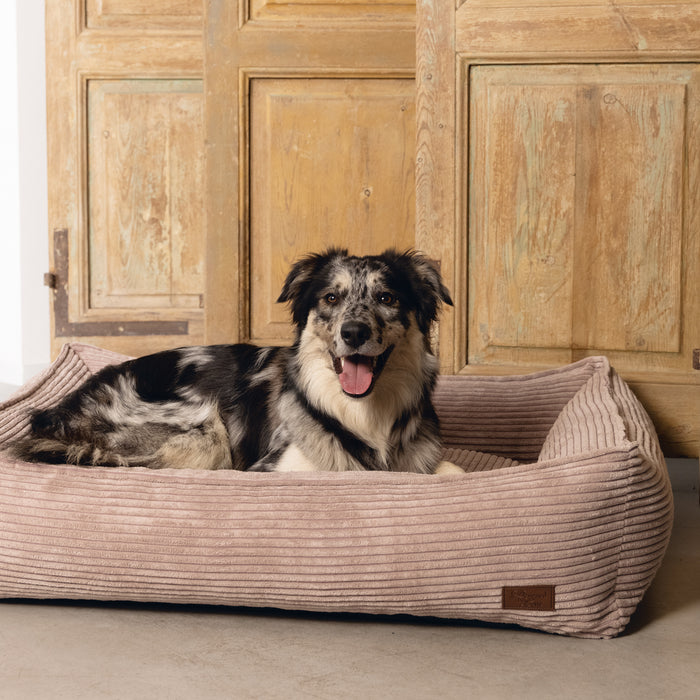 308172-x01.jpg (1295849) 