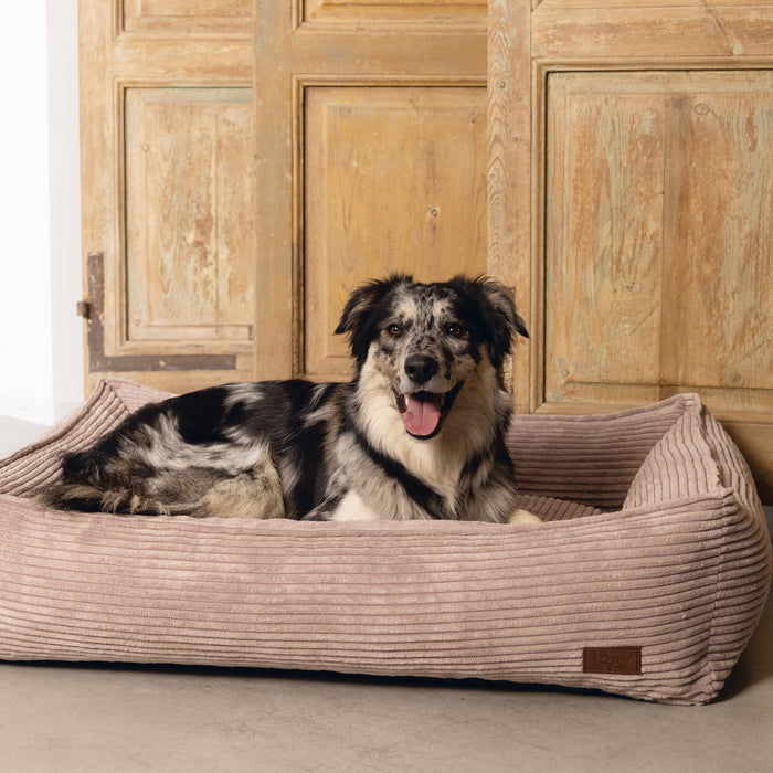 308173-x01.jpg (1296569) 