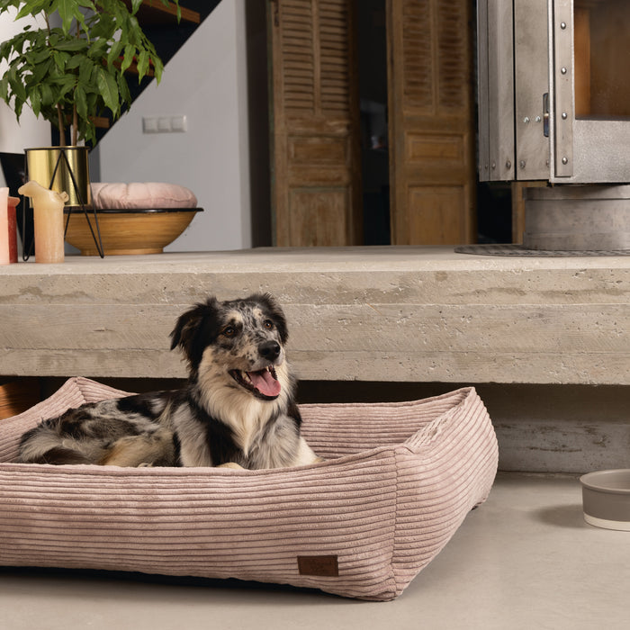 308173-x02.jpg (1296571) 