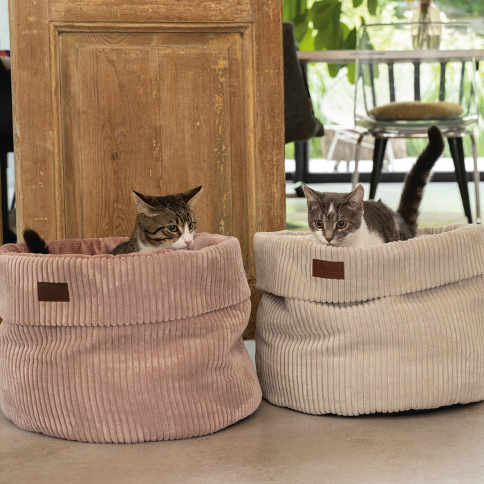 308175-x01.jpg (1297902) 