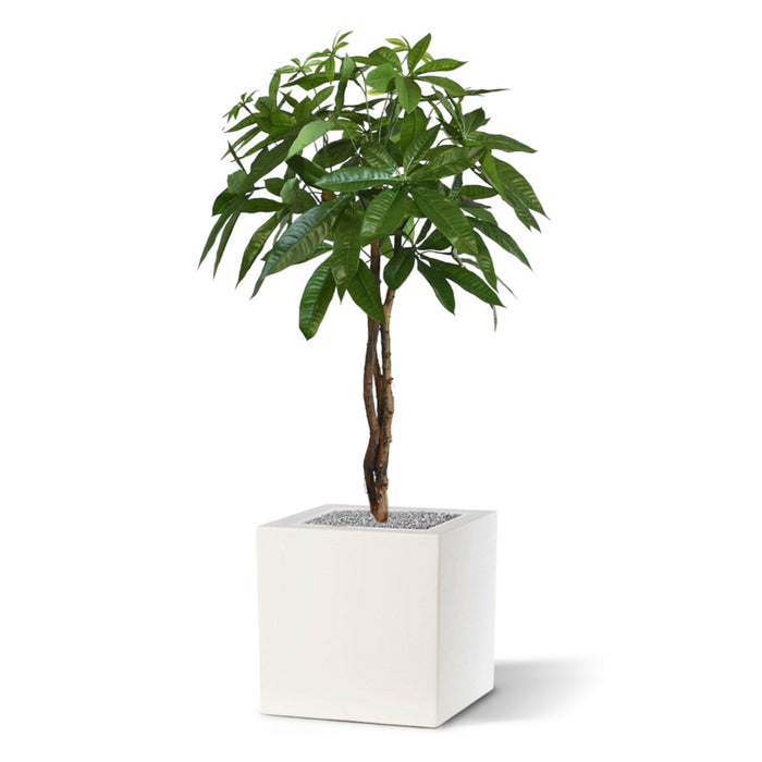 c70c4a18-35b7-4057-9d69-bd7925f99559-afbeelding4.jpg (1308793) 