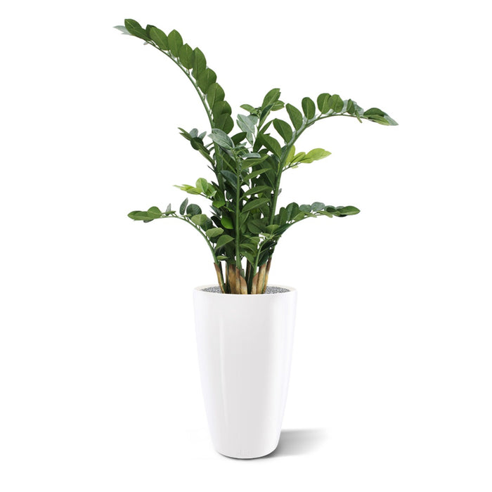 28b33a4f-4788-42fb-8be7-8f440707d029-afbeelding4.jpg (1309240) 