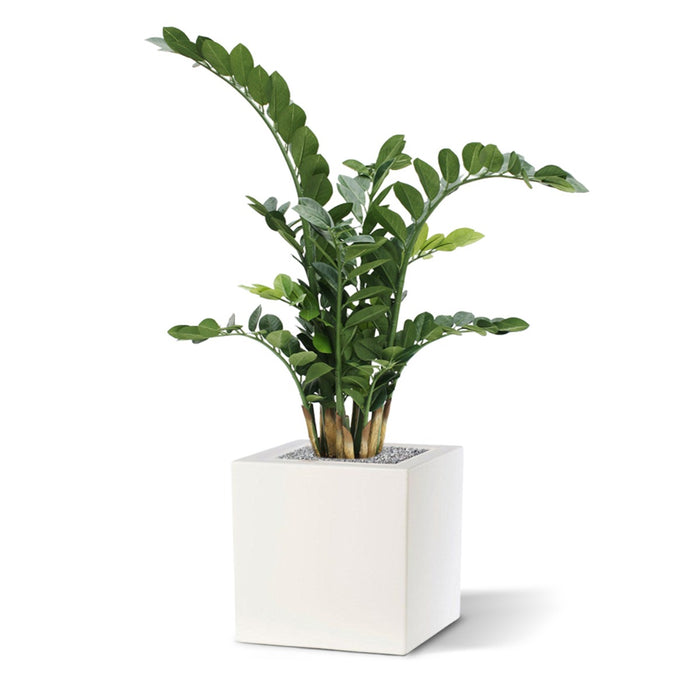 28b33a4f-4788-42fb-8be7-8f440707d029-afbeelding5.jpg (1309241) 