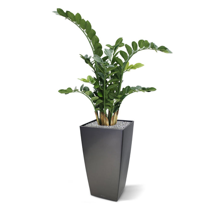 28b33a4f-4788-42fb-8be7-8f440707d029-sfeerbeeld.jpg (1309245) 